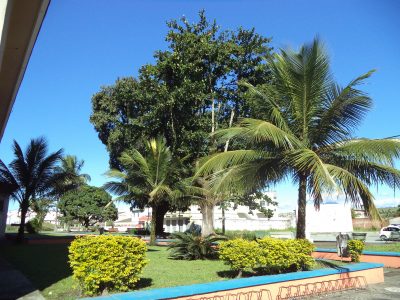 Praça Thomas Sheehan