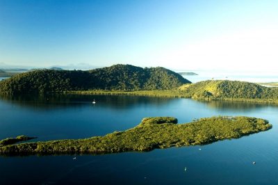 Ilha da Cotinga