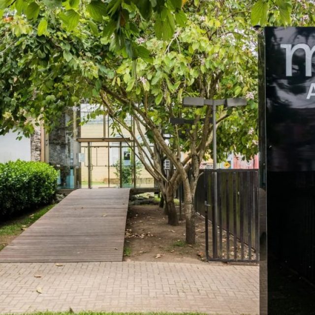 Visita mediada ao Museu de Arqueologia e Etnologia